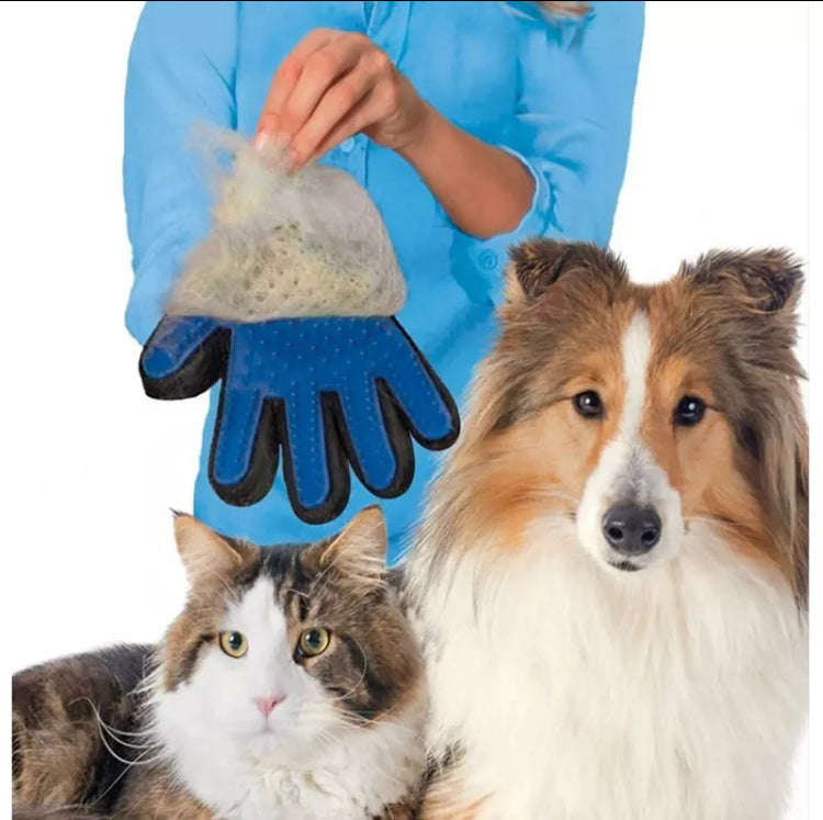 Manusa pentru periat si masat animale