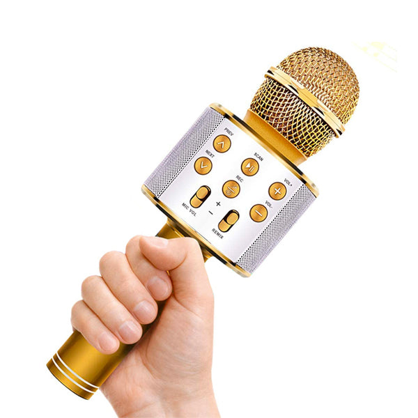 MICROFON WIRELESS pentru karaoke, cu bluetooth