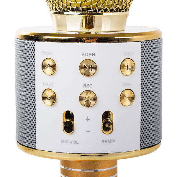 MICROFON WIRELESS pentru karaoke, cu bluetooth